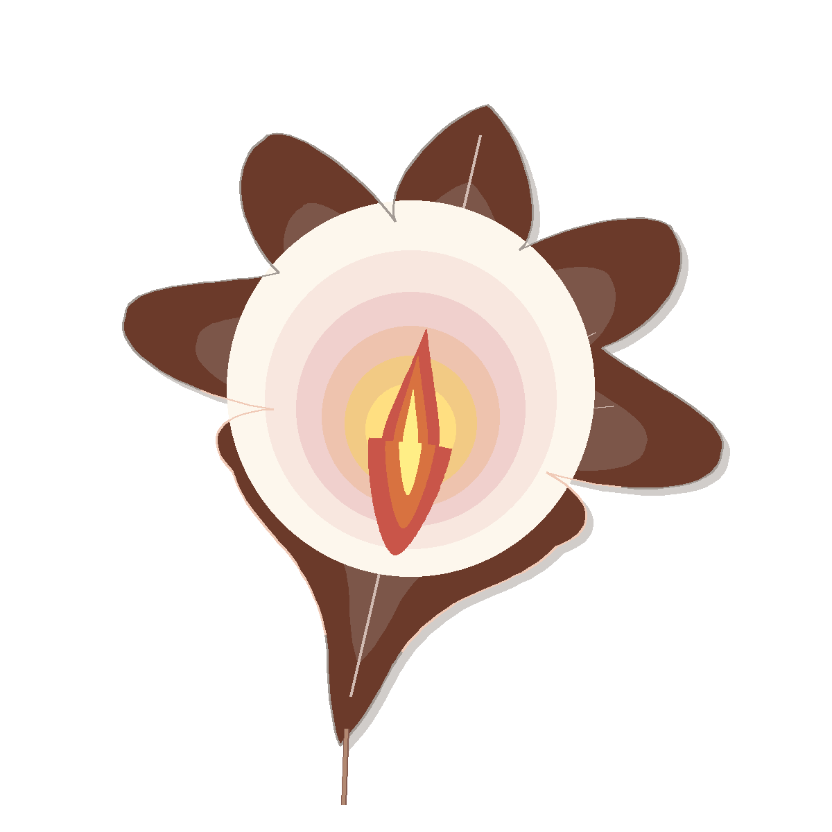 Ninya